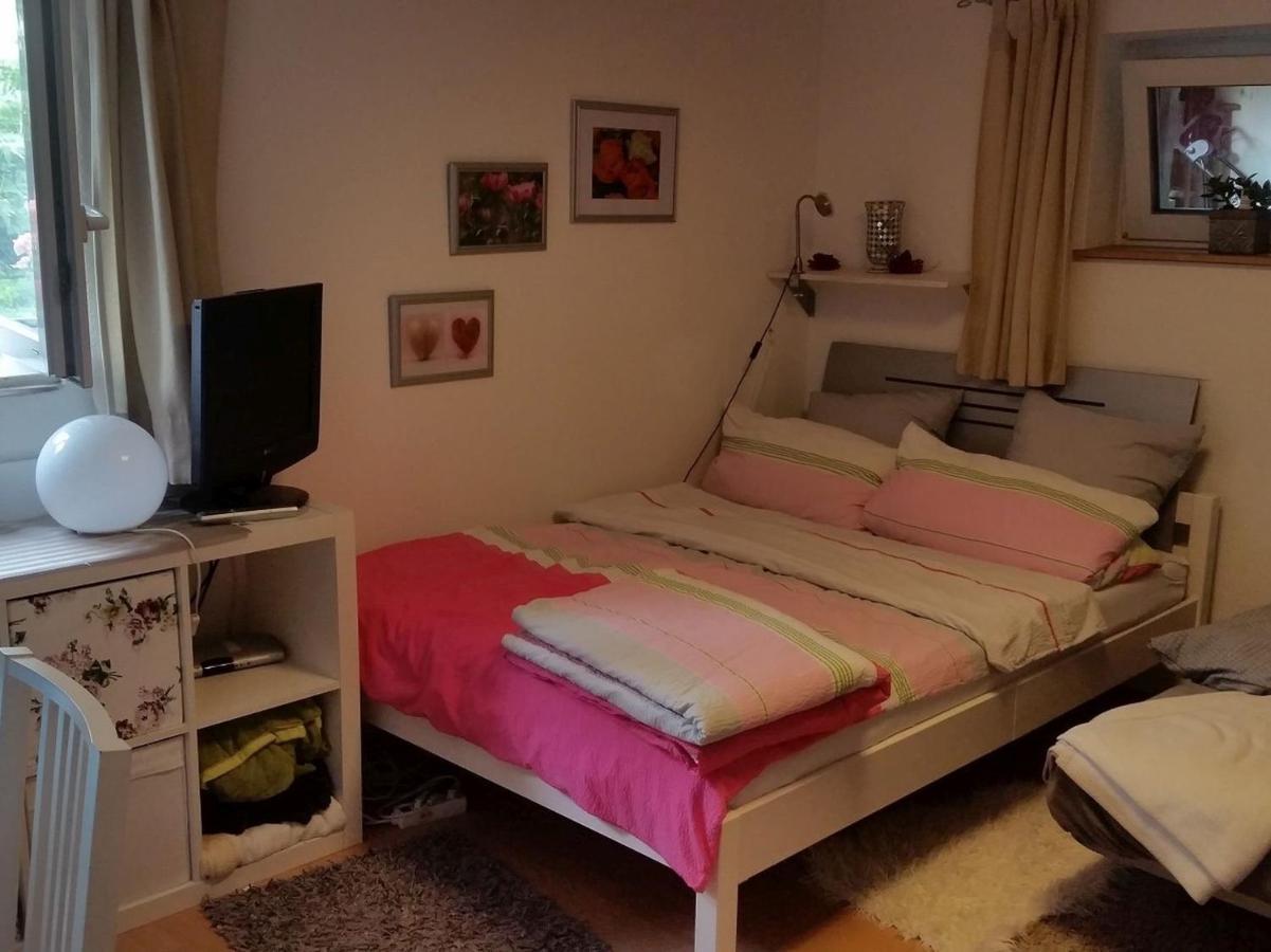 Ferienwohnung Am Berg, 35Qm Rickenbach  Exterior foto