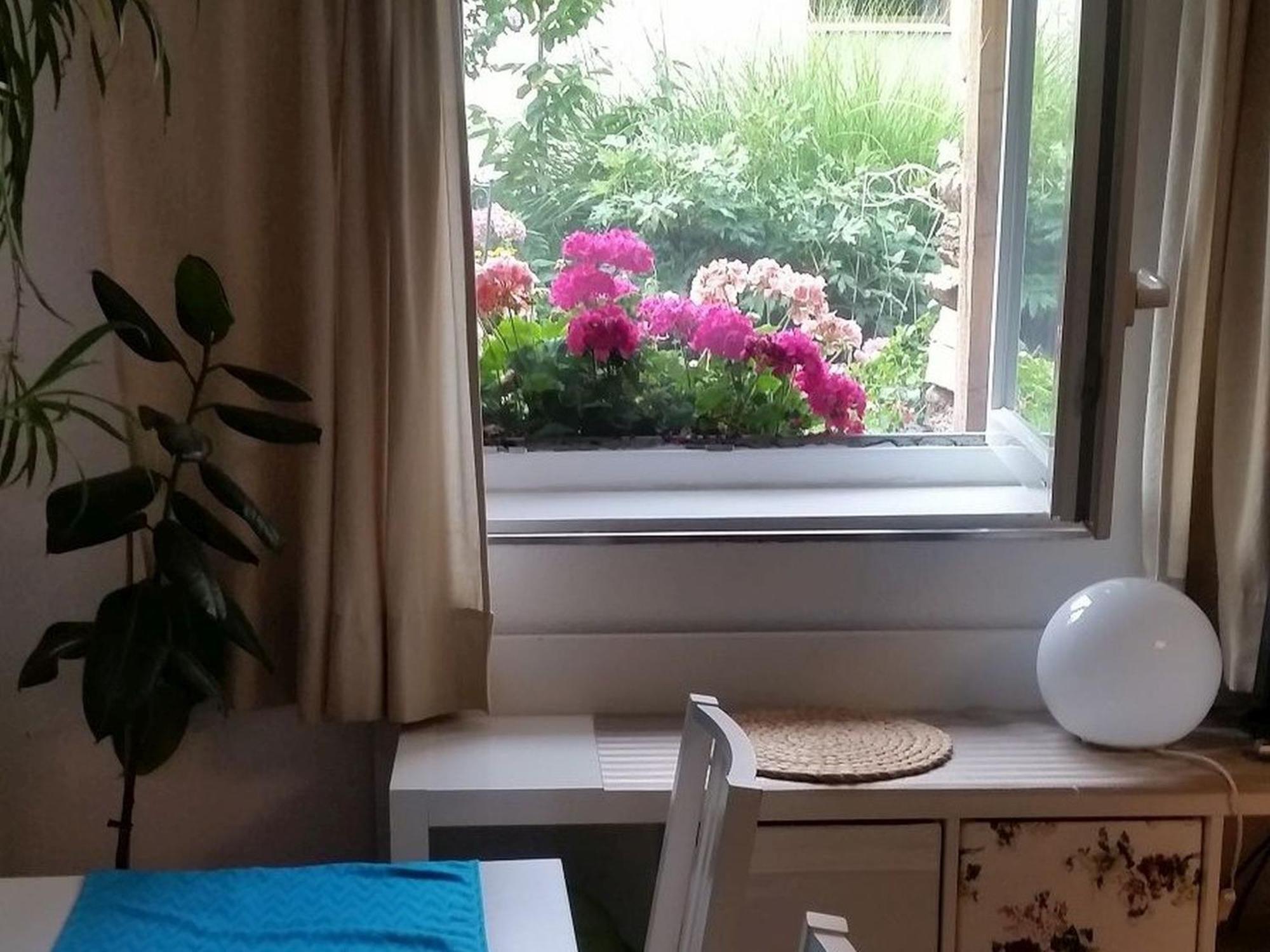 Ferienwohnung Am Berg, 35Qm Rickenbach  Exterior foto
